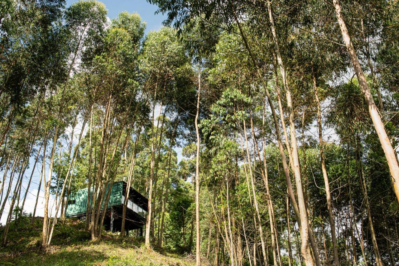 Casa Container Figo Em Meio A Natureza Na Serra Gaucha Flores da Cunha Εξωτερικό φωτογραφία