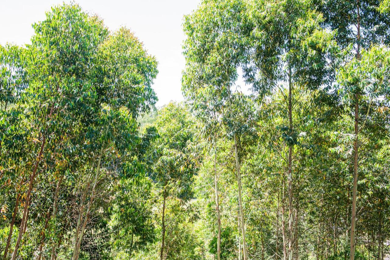 Casa Container Figo Em Meio A Natureza Na Serra Gaucha Flores da Cunha Εξωτερικό φωτογραφία